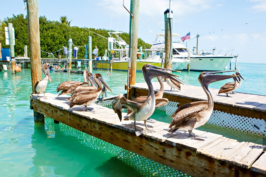 best-boat-tours