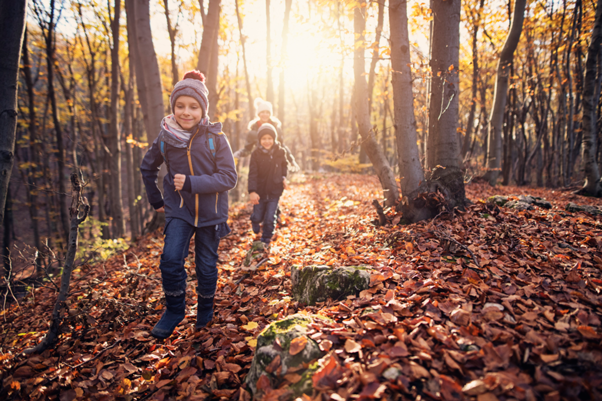 family-walking-in-forest-during-fall