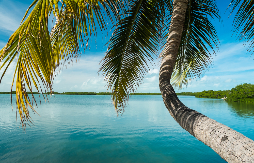 Land, Air & Sea: Our Favorite Key West Sightseeing Tours Land, Air & Sea: Our Favorite Key West Sightseeing Tours