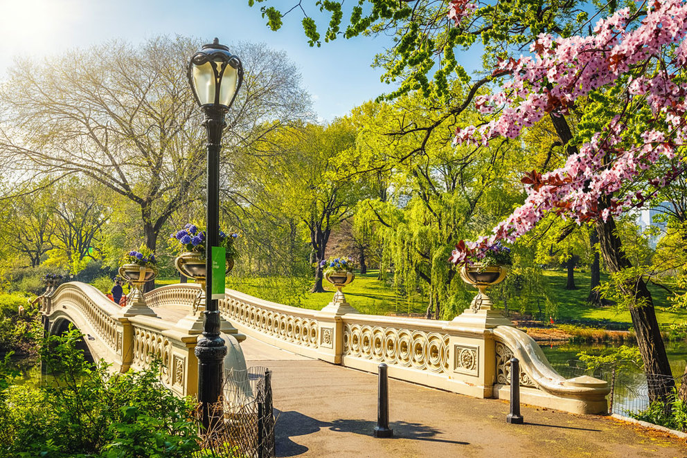 5 Experiences to Have in New York this Spring
