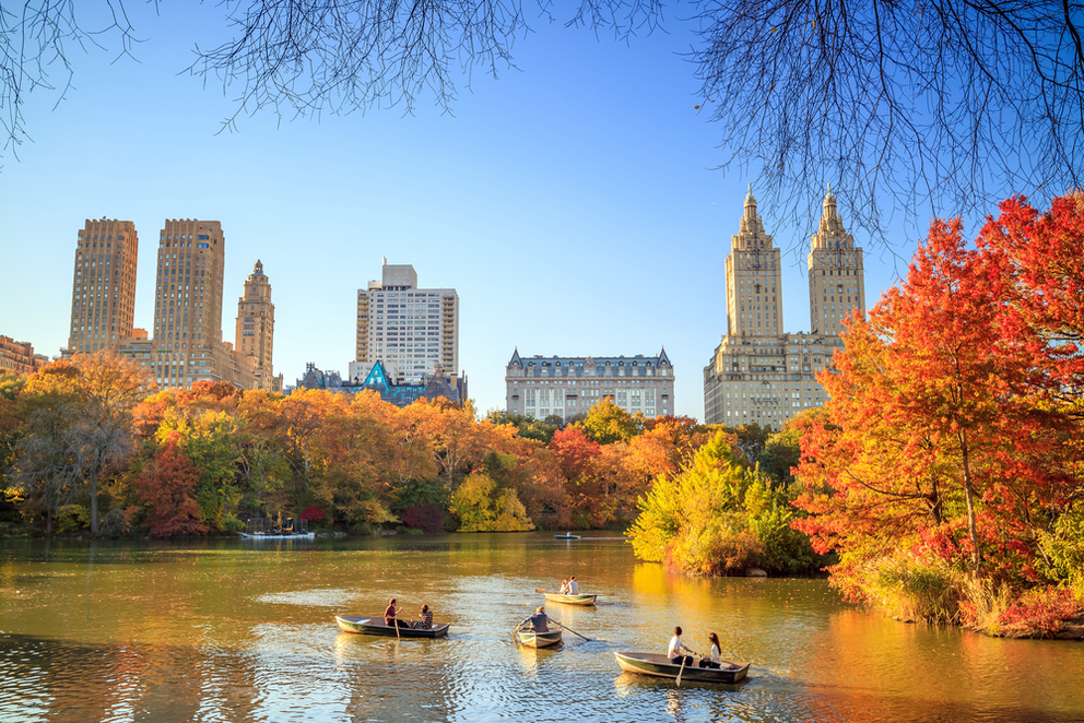 Best Leaf Peeping Experiences in NYC
