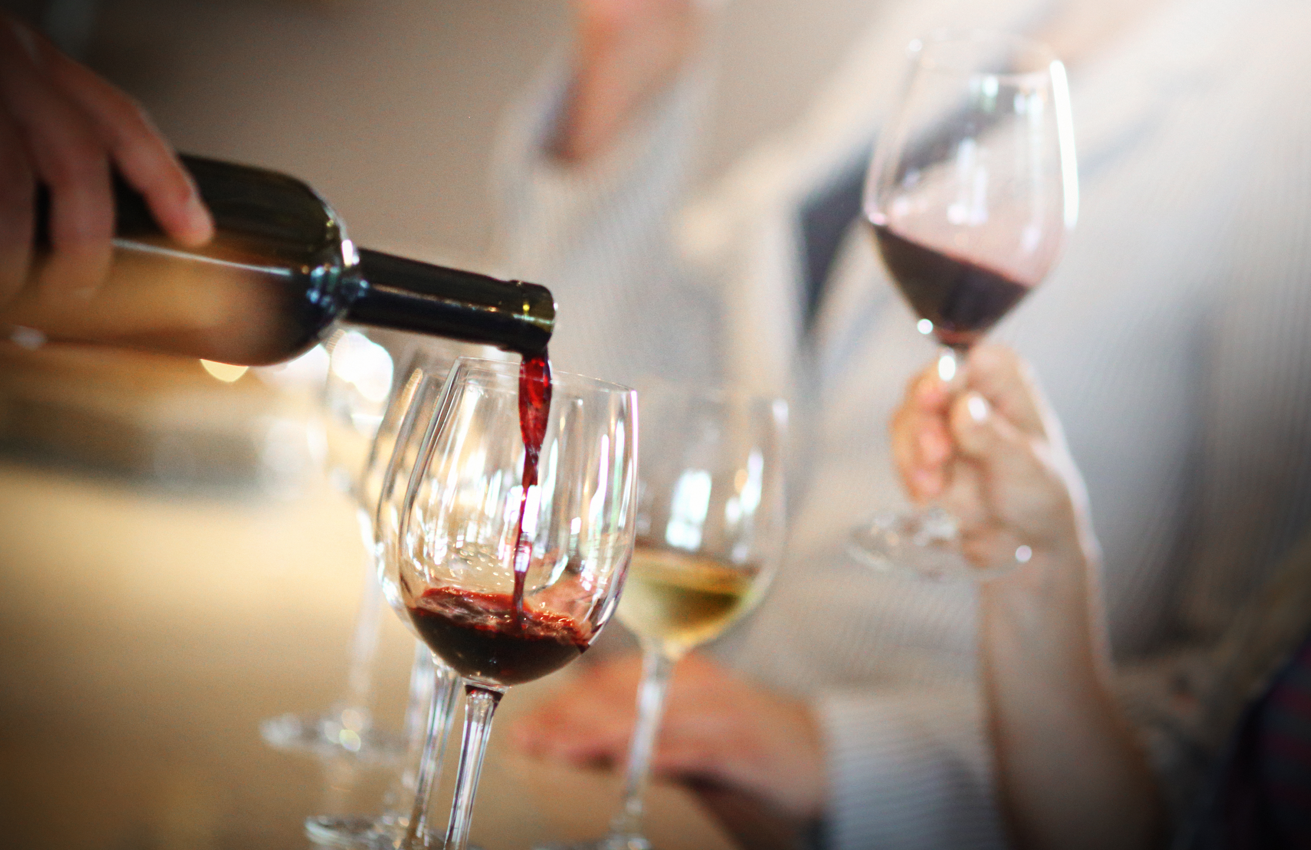 wine tasting