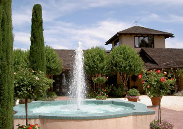 Landmark Vineyards