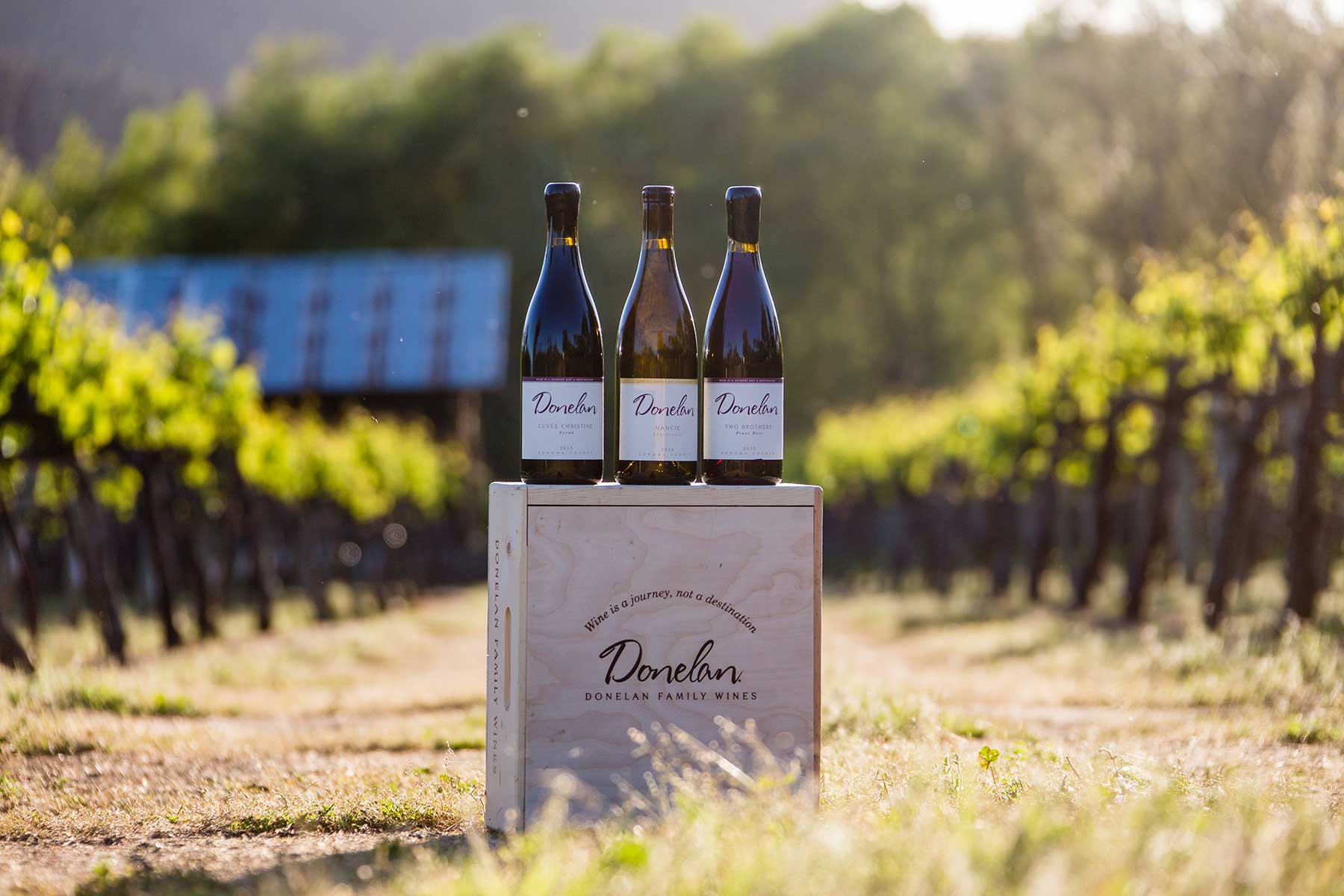 Donelan Family Wines