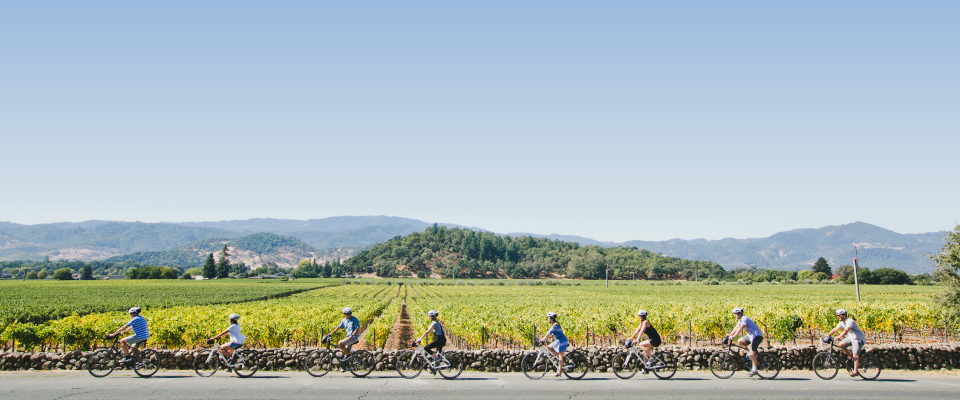 Napa Valley Bike Tours
