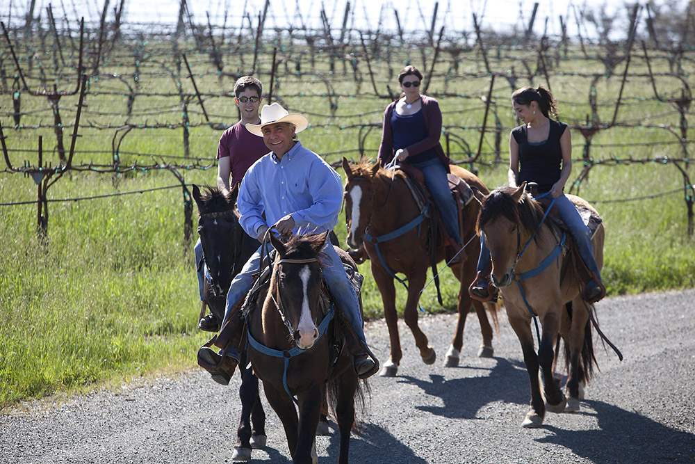 Rafael Horseback Riding at Chalk Hill Winery
