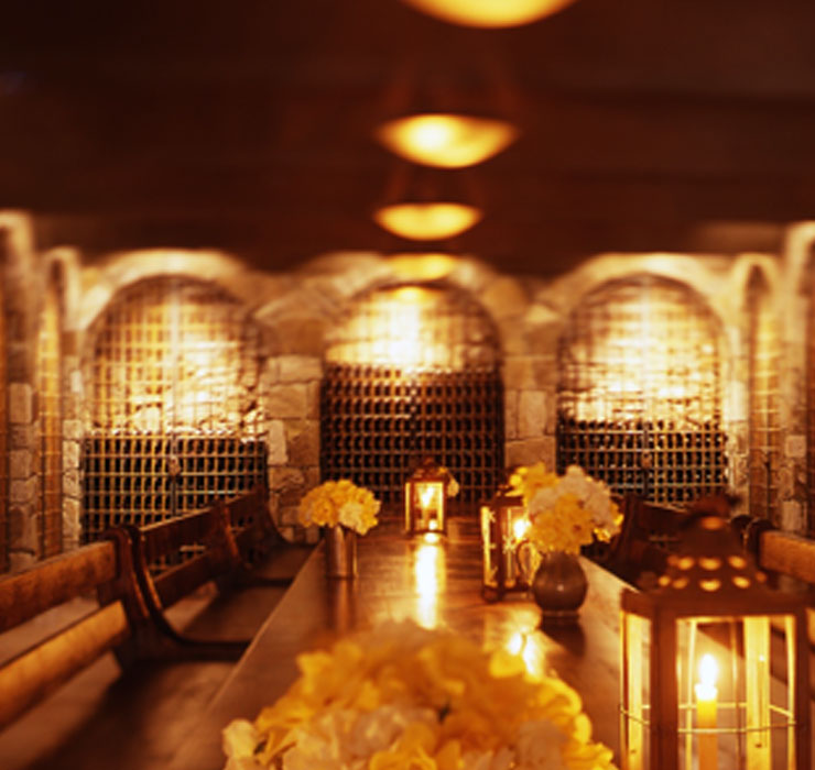 Palmaz Vineyards