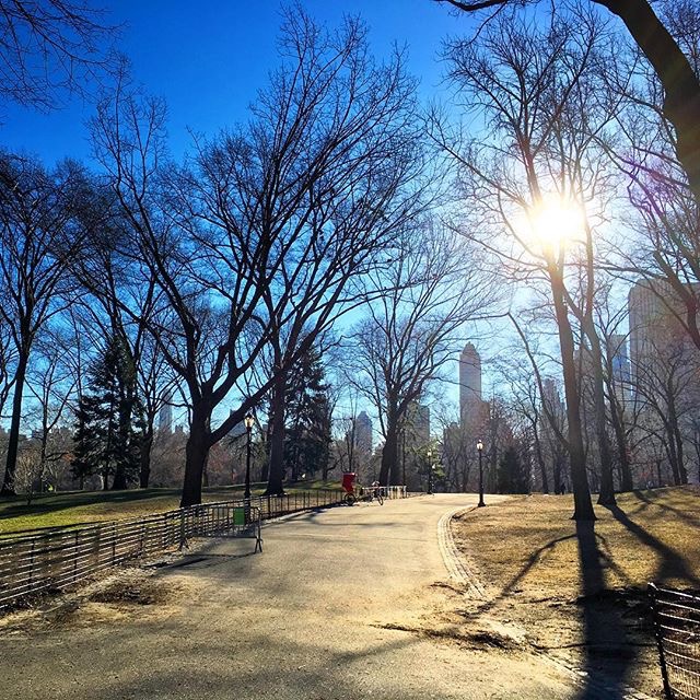 central park winter