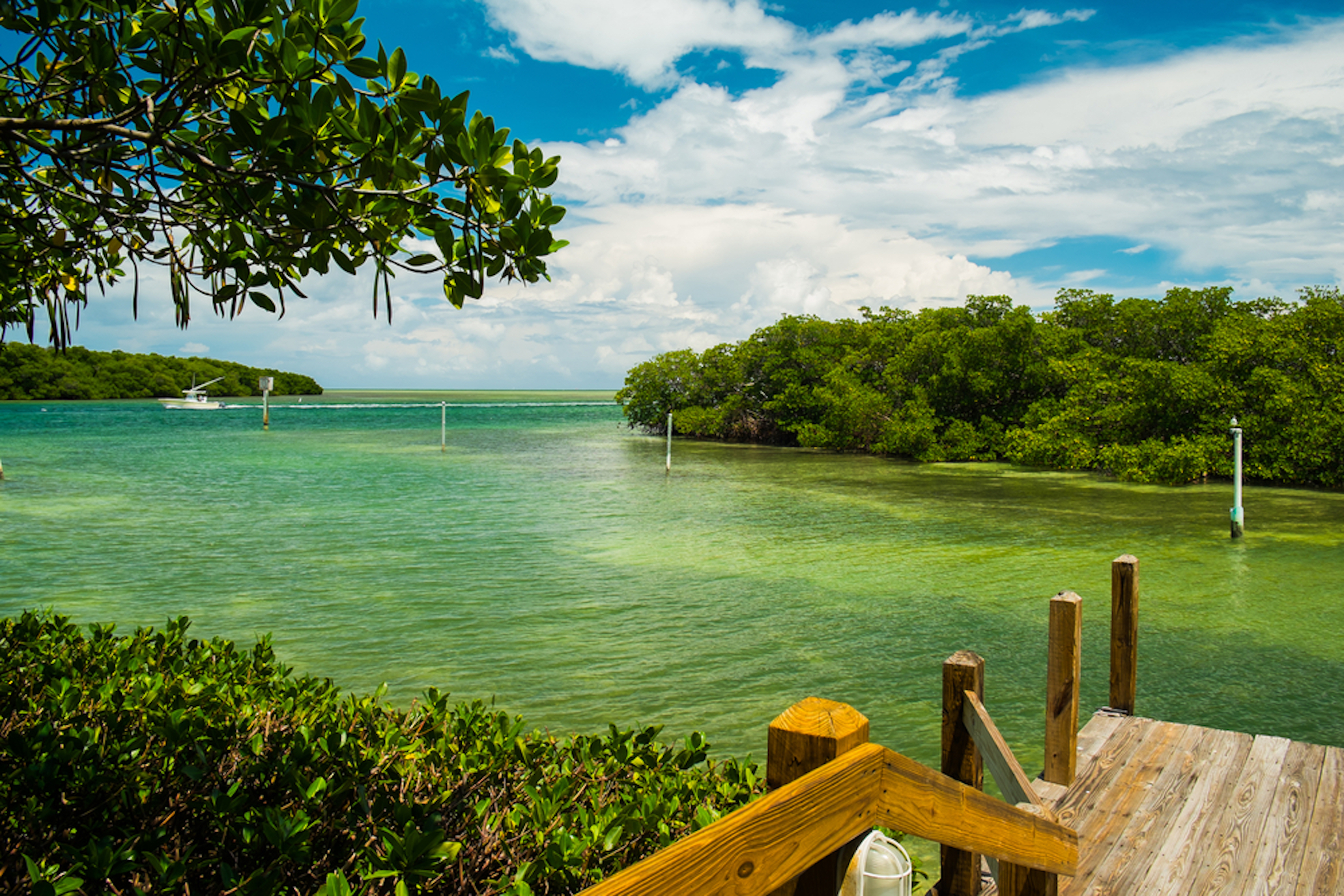 Kayaking the Key West Mangroves