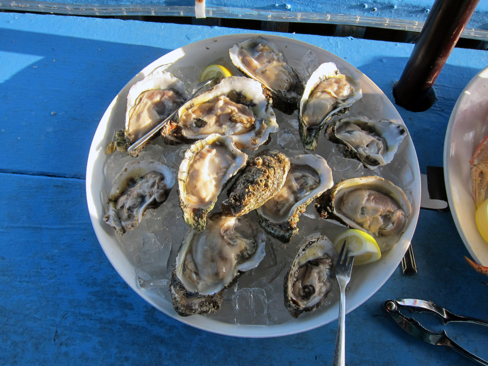 Best Raw Bars in Key West