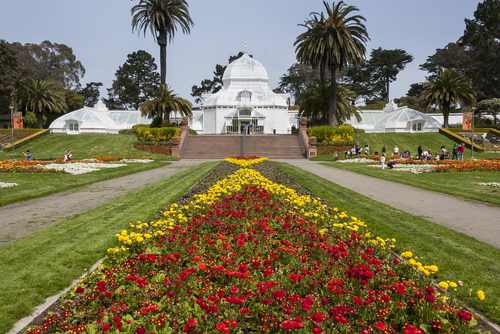 The Most Scenic Running Routes in SF