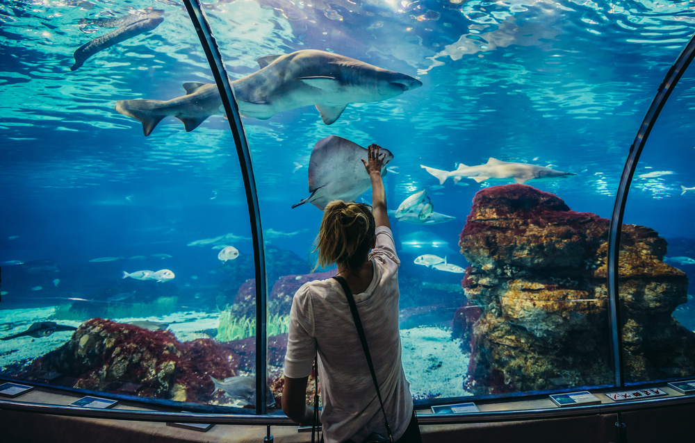 Delve into the Mediterranean at the Barcelona Aquarium