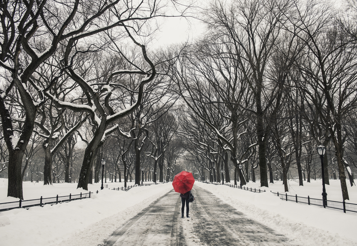 5 Ways to Weather Snow Days in NYC