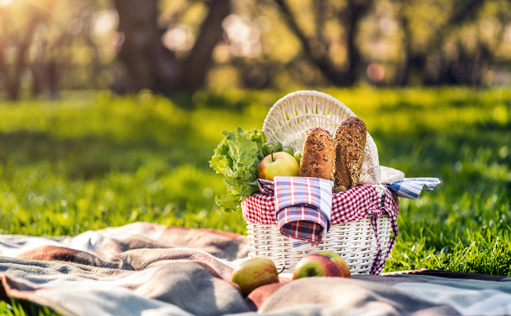 Best Places for a Picnic in Central Park