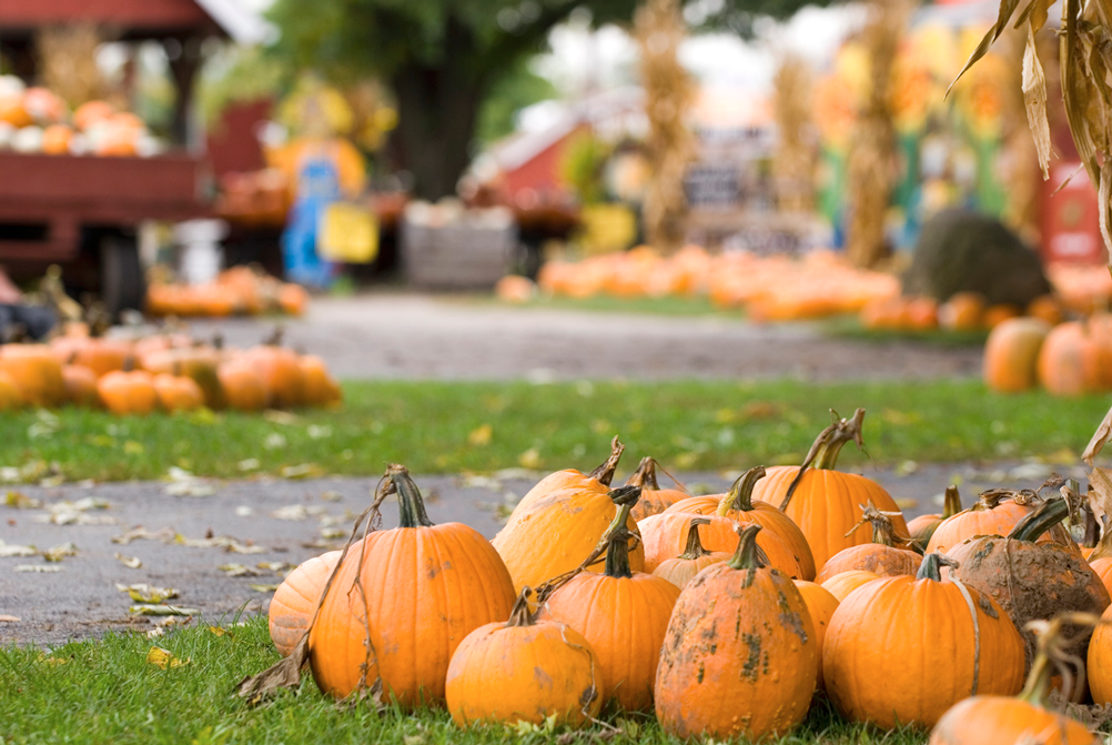 Best Fall Events in New York City