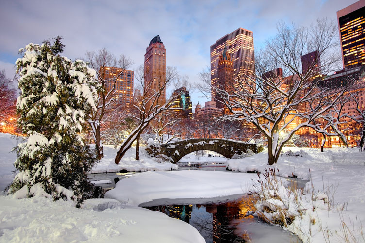 Things to Do in New York City on Cold and Snowy Days