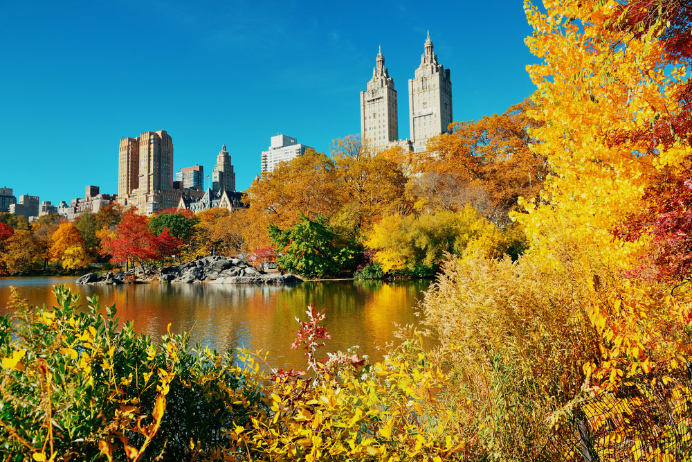 Guide to Central Park in Fall Manhattan Times Square Blog