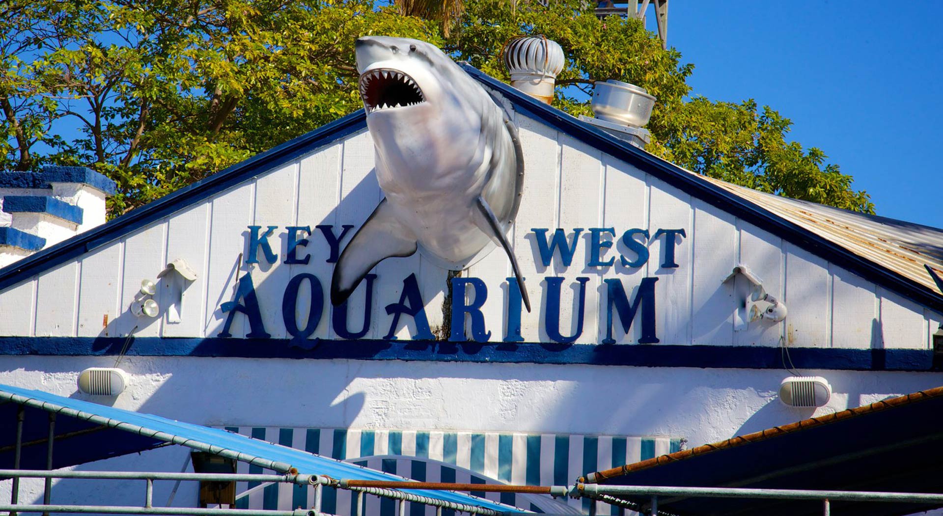 11 of the Best Aquariums in Florida - Kw Aquarium Banner