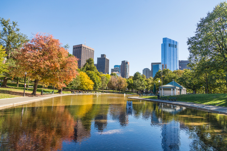 Navigating the Boston Common | Studio Allston Blog