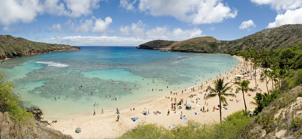 Snorkeling Hanauma Bay State Park Aston Waikiki Beach Blog