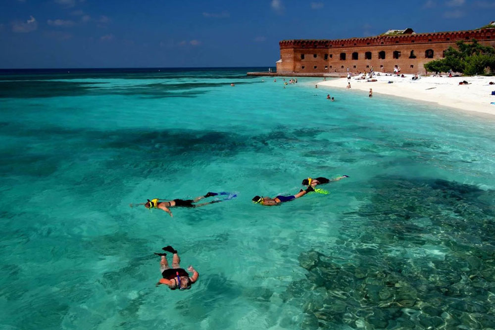 Best of Key West: Trip to Dry Tortugas National Park