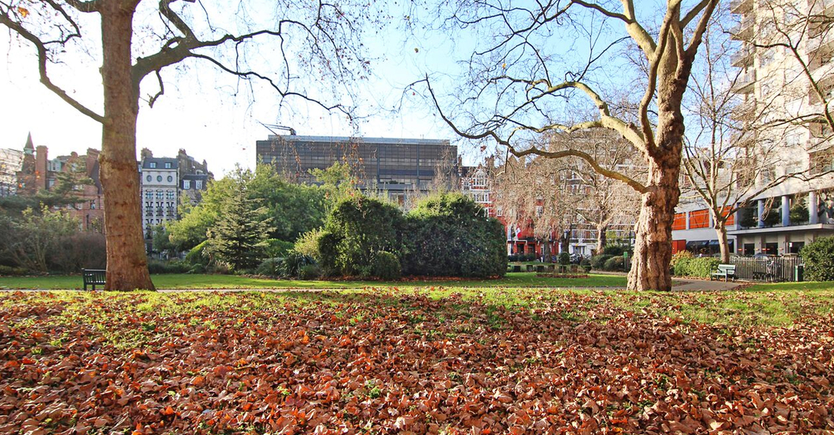 Belgravia Garden Square in Autumn