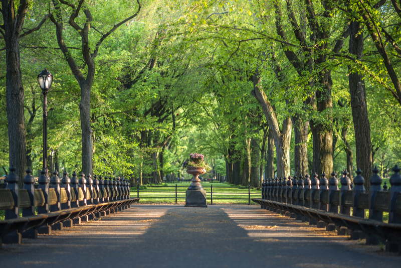 The Hotel Beacon Guide to Central Park: Part 2 blog image