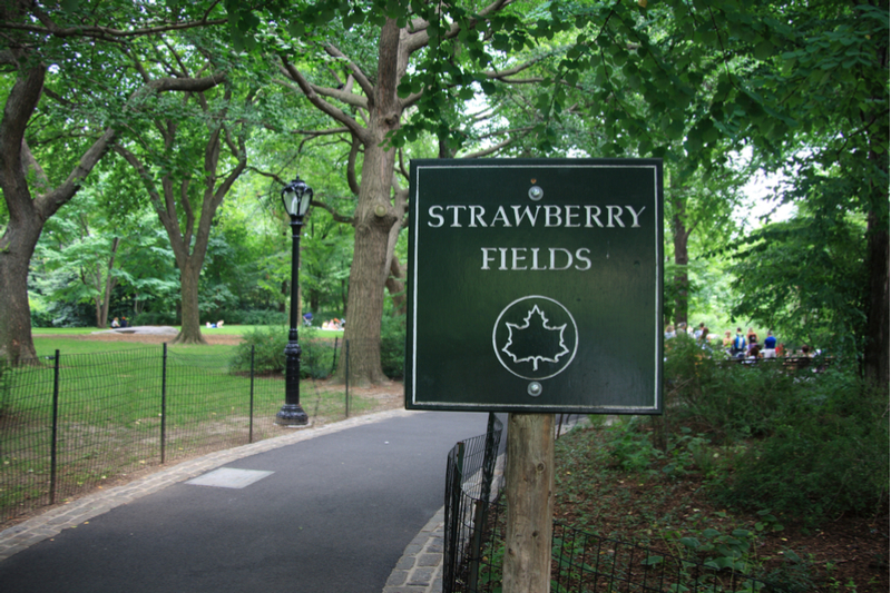 Strawberry Fields