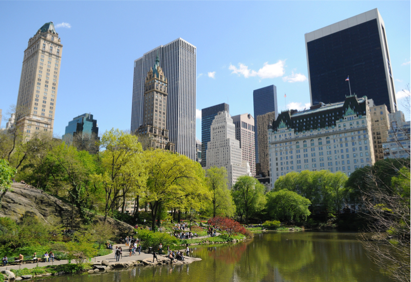 Image of summer time in Central Park