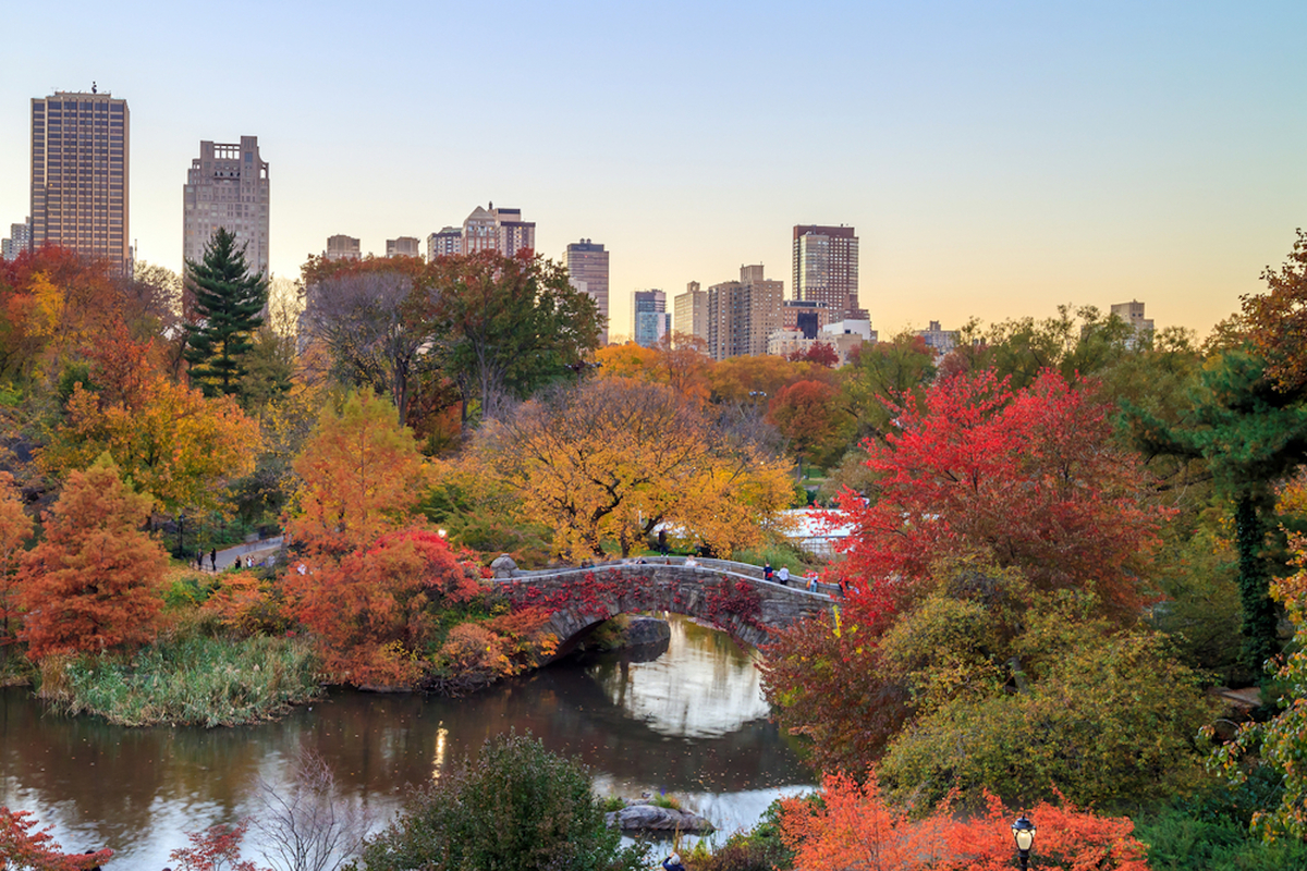 The Best Places to See Fall Foliage in Central Park