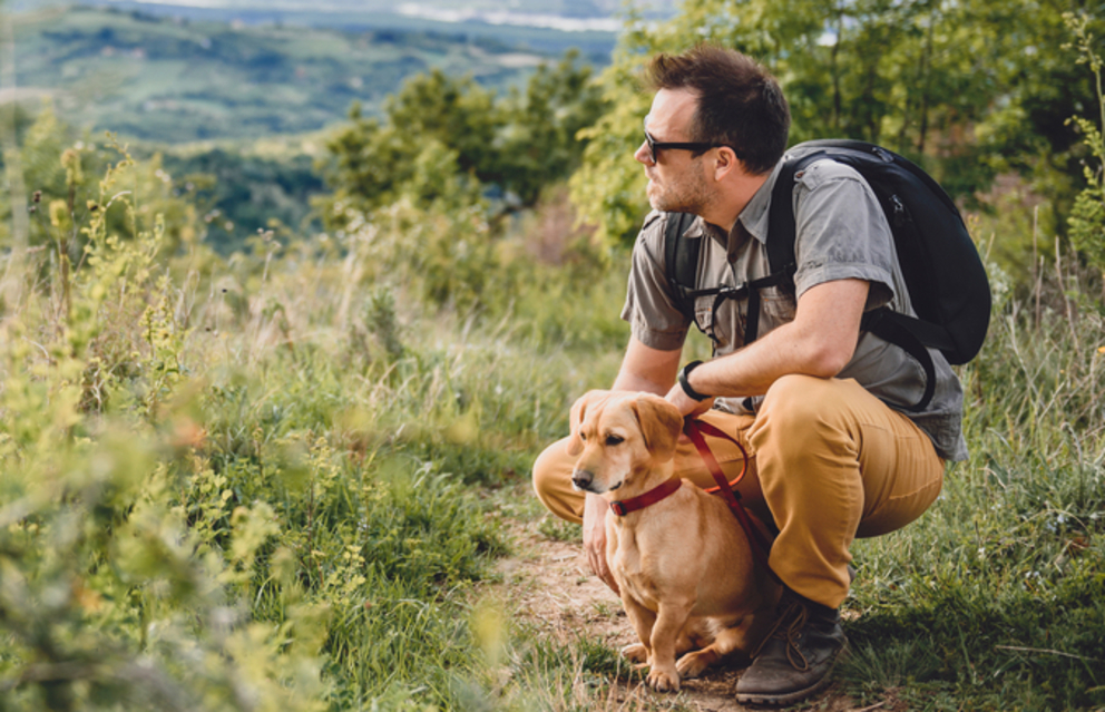 5 Dog-Friendly Hiking Trails in Napa Valley