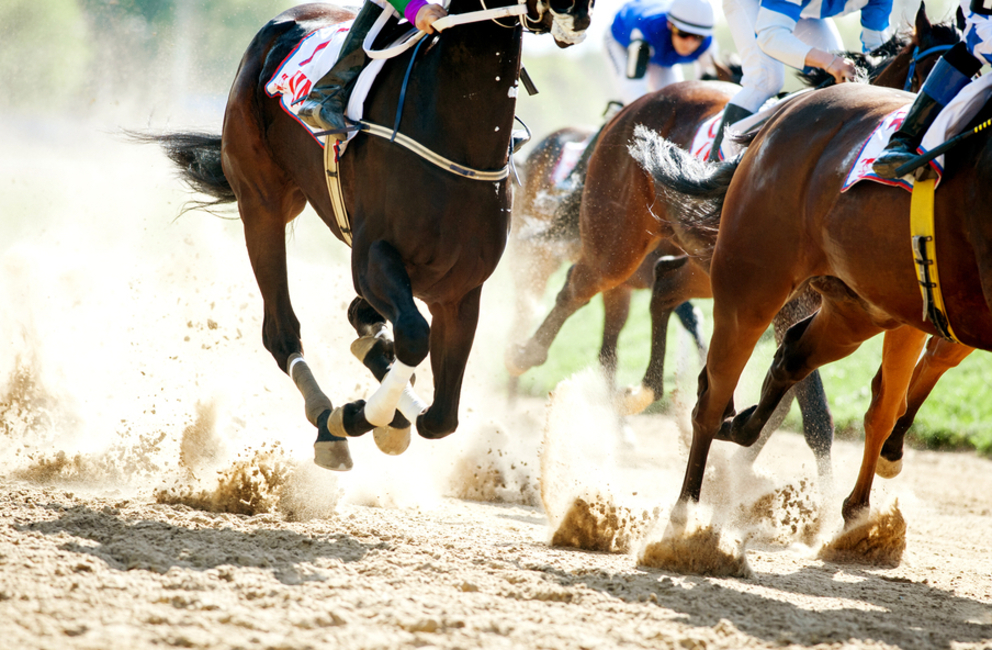 Where to Join in on the Kentucky Derby Fun in Napa Valley