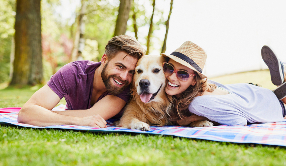 Paws for a Cause: Napa Valley’s Ultimate Dog Play Date