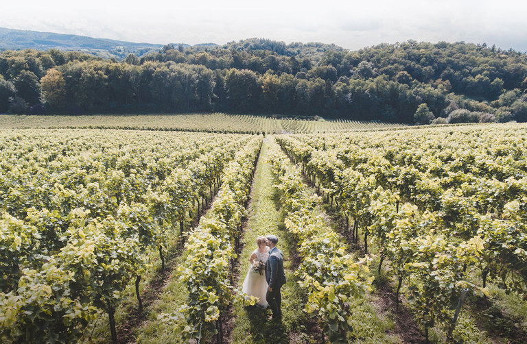 Wineyard