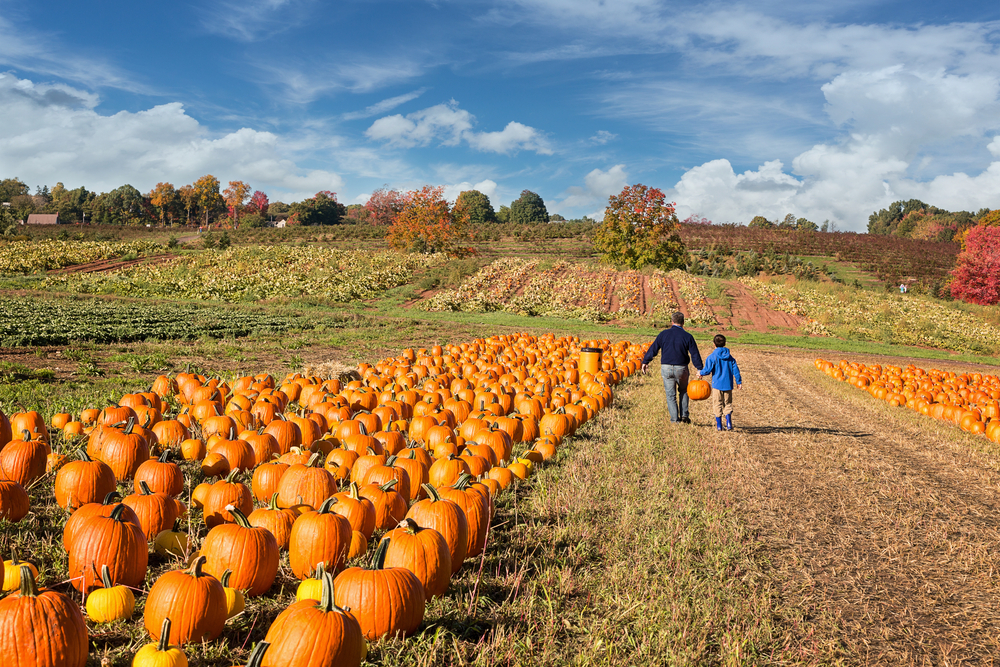 5 Family-Friendly Halloween Activities to Do in the Poconos