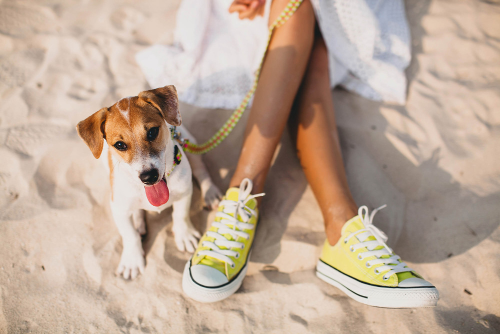 washington-park-picks-pet-friendly-spots-in-sobe