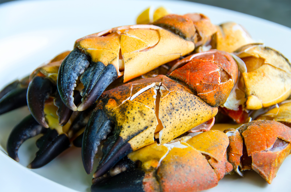 Where to Eat Stone Crab in Key West