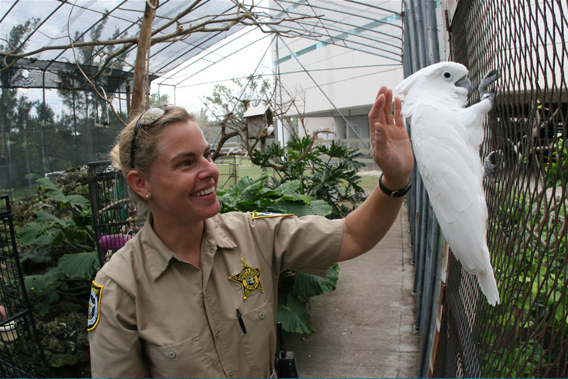 The Sheriff's Animal Farm – Key West