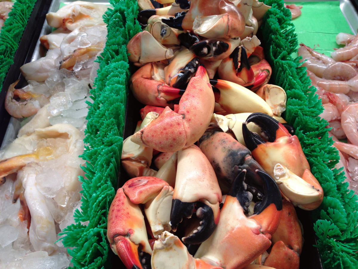 Key West Stone Crab Season Guide 24 North Hotel