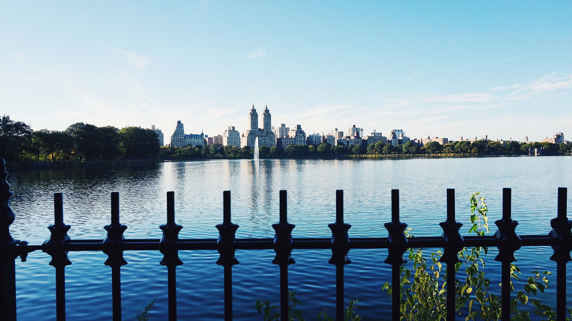 Central Park in New York City