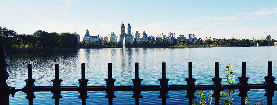 Central Park in New York City