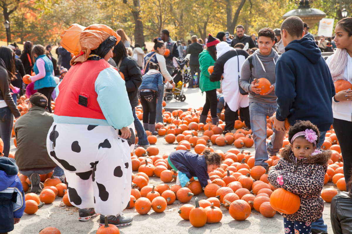 pumpkin-flotilla-celebration-halloween-event-in-central-park