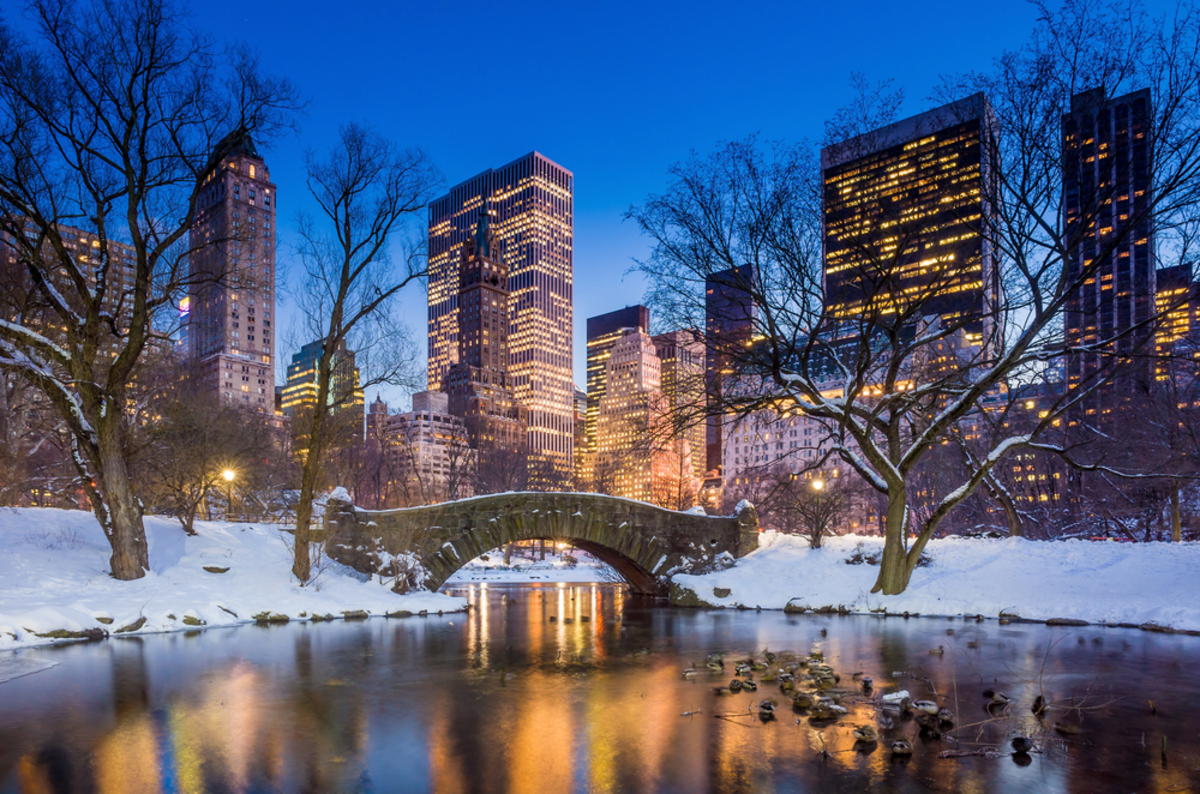 night-view-of-central-park-bridge-and-pond