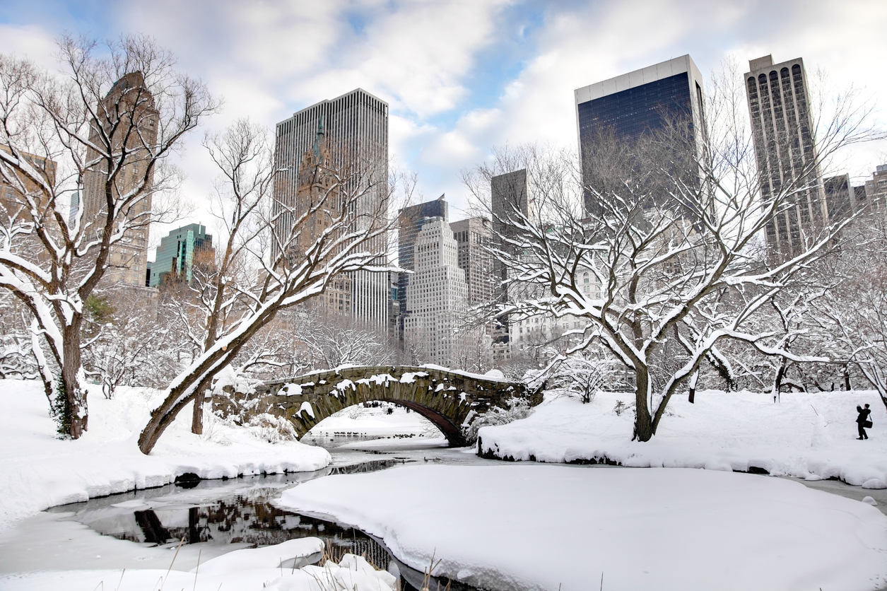 5 Winter Activities In New York City