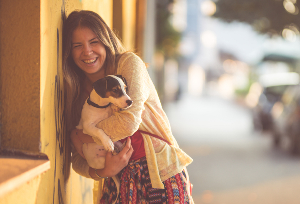 Enjoy a Day in St. Helena With Your Dog