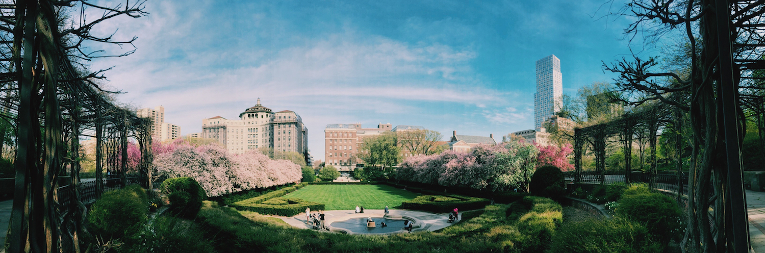 Where To See Spring Blooms In NYC