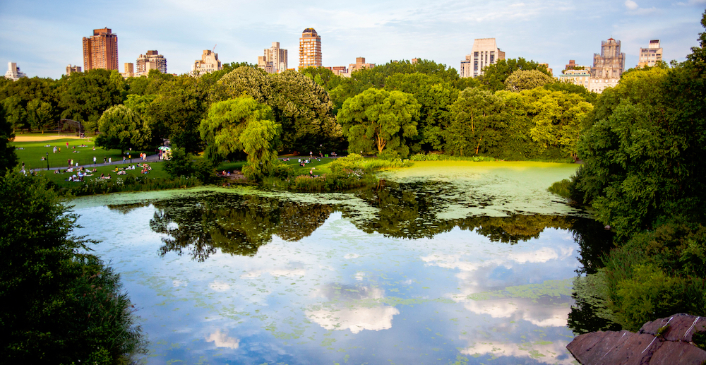 A Spring-Inspired Self-Guided Walking Tour Of Central Park